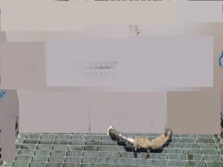 bontott LAND ROVER DISCOVERY EGR Hűtő Cső