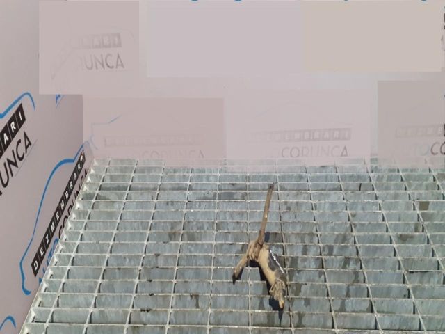 bontott LAND ROVER DISCOVERY Első Ablakmosó Szivattyú