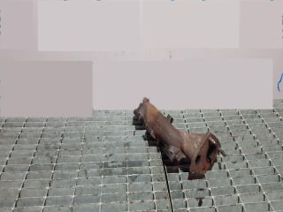 bontott LAND ROVER DISCOVERY Kipufogó Közösítő