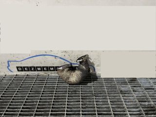 bontott LAND ROVER FREELANDER EGR Hűtő Cső