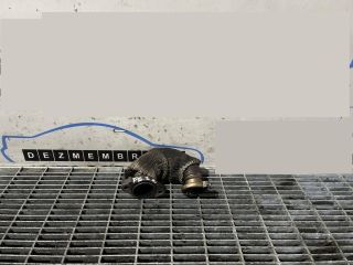 bontott LAND ROVER FREELANDER EGR Hűtő Cső