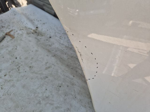 bontott LEXUS CT Jobb hátsó Ajtó (Üres lemez)