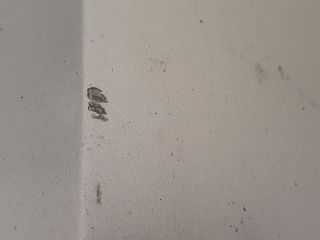 bontott LEXUS IS Bal Visszapillantó Tükör (Elektromos)