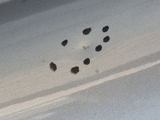 bontott LEXUS RX Jobb első Ajtó (Üres lemez)