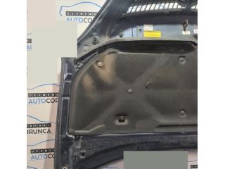 bontott LEXUS RX Motorháztető