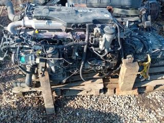 bontott MAN TGL Motor (Fűzött blokk hengerfejjel)