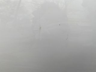 bontott MAZDA 2 Bal első Ajtó (Részeivel)