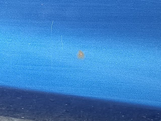 bontott MAZDA 3 Jobb első Ajtó (Részeivel)