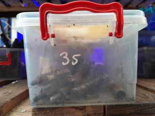 bontott MAZDA 3 Porlasztó (1 db)