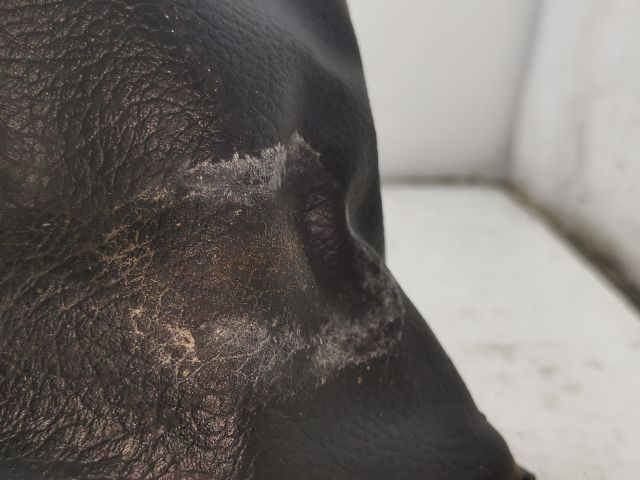 bontott MAZDA 323 Váltószoknya