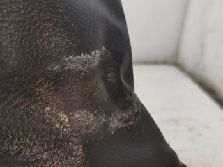 bontott MAZDA 323 Váltószoknya