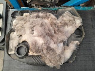 bontott MAZDA 5 Felső Hűtőburkolat