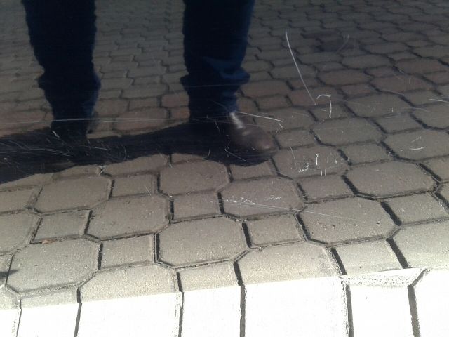 bontott MAZDA 6 Bal első Ablak