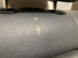 bontott MAZDA 6 Ülés Szett