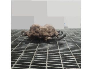 bontott MAZDA BT-50 Jobb első Fékkengyel