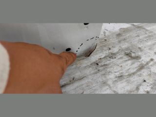 bontott MAZDA CX-5 Jobb első Ajtó (Üres lemez)