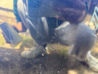 bontott MAZDA MX-5 Motorháztető