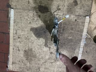 bontott MAZDA PREMACY Jobb hátsó Ablakemelő Motor