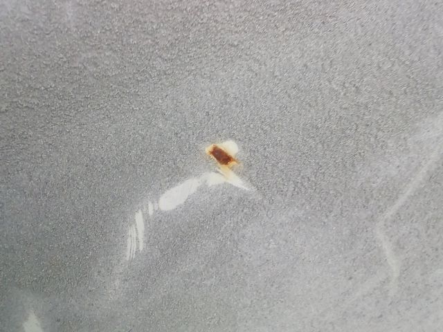 bontott MERCEDES-BENZ /8 Jobb hátsó Ajtó (Üres lemez)