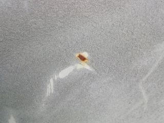 bontott MERCEDES-BENZ /8 Jobb hátsó Ajtó (Üres lemez)