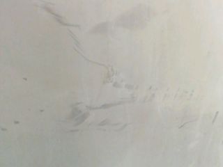 bontott MERCEDES-BENZ /8 Motorháztető