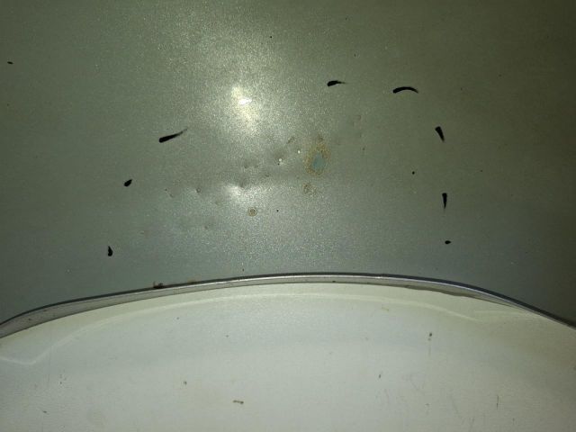 bontott MERCEDES-BENZ B-CLASS Jobb első Sárvédő