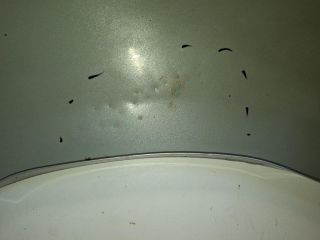 bontott MERCEDES-BENZ B-CLASS Jobb első Sárvédő