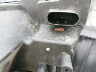 bontott MERCEDES-BENZ B-CLASS Jobb Fényszóró