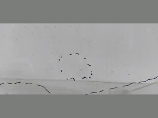 bontott MERCEDES-BENZ CLA Jobb hátsó Ajtó (Üres lemez)