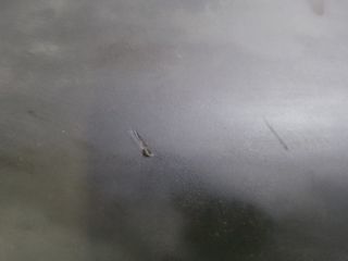 bontott MERCEDES-BENZ E-CLASS Felső Motorburkolat