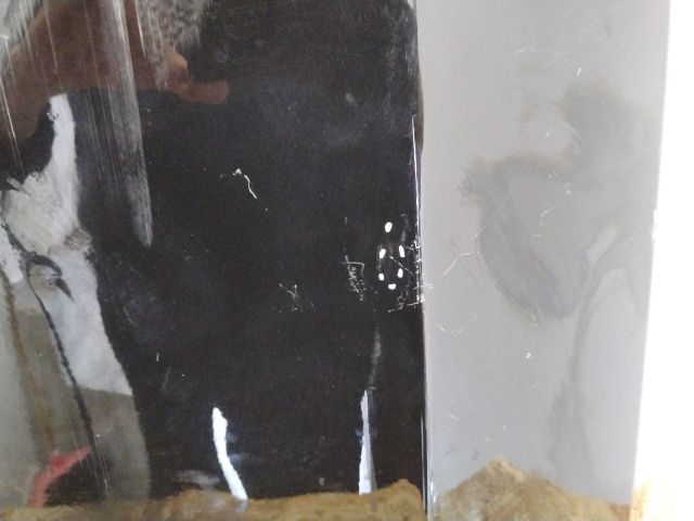 bontott MERCEDES-BENZ M-CLASS Bal első Sárvédő