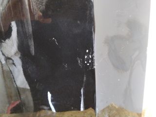 bontott MERCEDES-BENZ M-CLASS Bal első Sárvédő