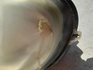 bontott MERCEDES-BENZ M-CLASS Bal Fényszóró