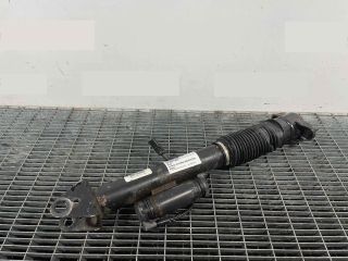 bontott MERCEDES-BENZ M-CLASS Hátsó Lengéscsillapító (Pozíciófüggetlen)