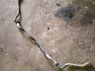 bontott MERCEDES-BENZ VITO Első Vízszintes Stabilizátor Rúd