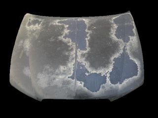 bontott MG MG Motorháztető