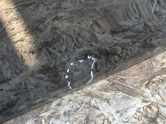 bontott MINI CLUBMAN Bal első Ajtó (Üres lemez)