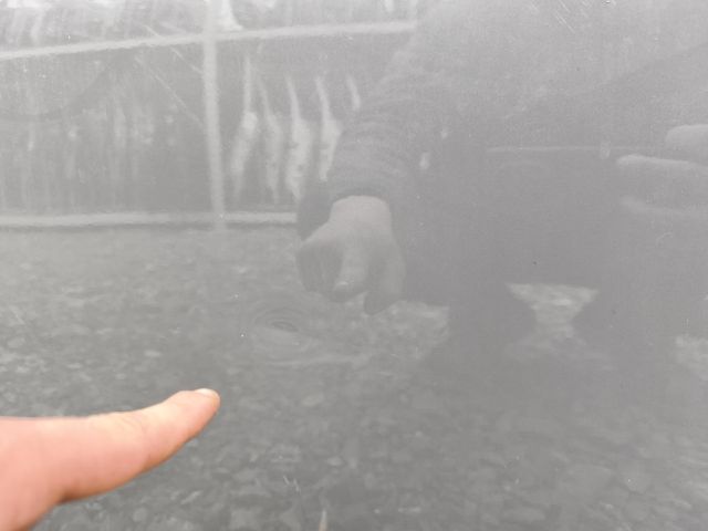 bontott MINI CLUBMAN Bal hátsó Ajtó (Üres lemez)