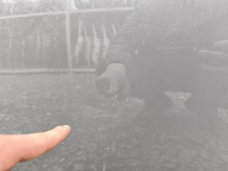 bontott MINI CLUBMAN Bal hátsó Ajtó (Üres lemez)