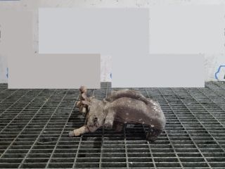 bontott MINI COUNTRYMAN Bal hátsó Fékkengyel