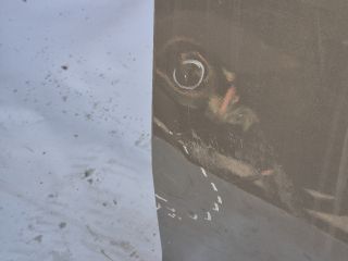 bontott MINI COUNTRYMAN Jobb első Ajtó (Üres lemez)