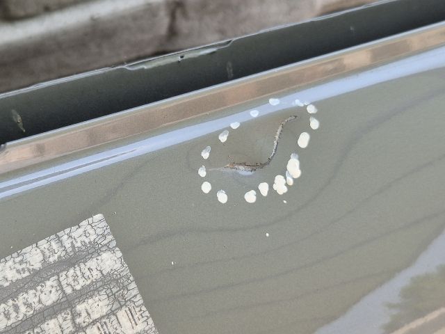 bontott MINI COUNTRYMAN Jobb első Ajtó (Üres lemez)