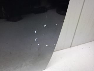 bontott MINI HATCHBACK Bal első Ajtó (Üres lemez)