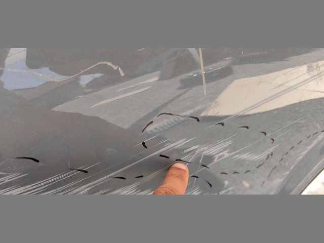 bontott MINI HATCHBACK Bal hátsó Ajtó (Üres lemez)