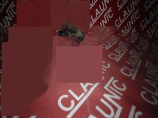 bontott MINI HATCHBACK Bal Ködfényszóró