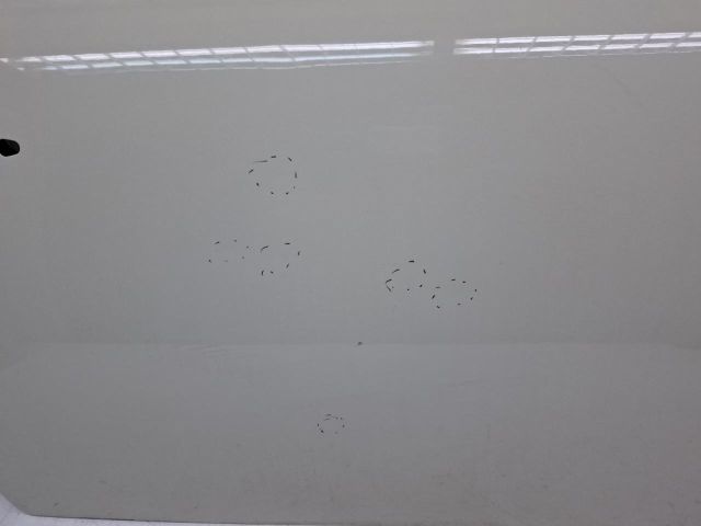 bontott MINI HATCHBACK Jobb első Ajtó (Üres lemez)