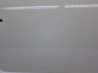 bontott MINI HATCHBACK Jobb első Ajtó (Üres lemez)