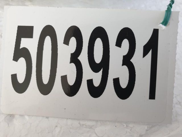 bontott MINI HATCHBACK Motorháztető Jobb Zsanér