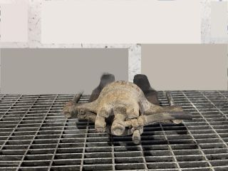 bontott MITSUBISHI ASX Bal első Fékkengyel