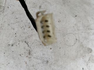 bontott MITSUBISHI COLT Bal első Irányjelző